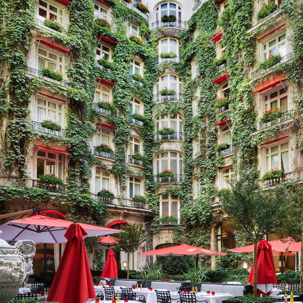 ART CONTEMPORAIN « Naturellement Plaza »  The nature exhibition of the Plaza Athénée Paris